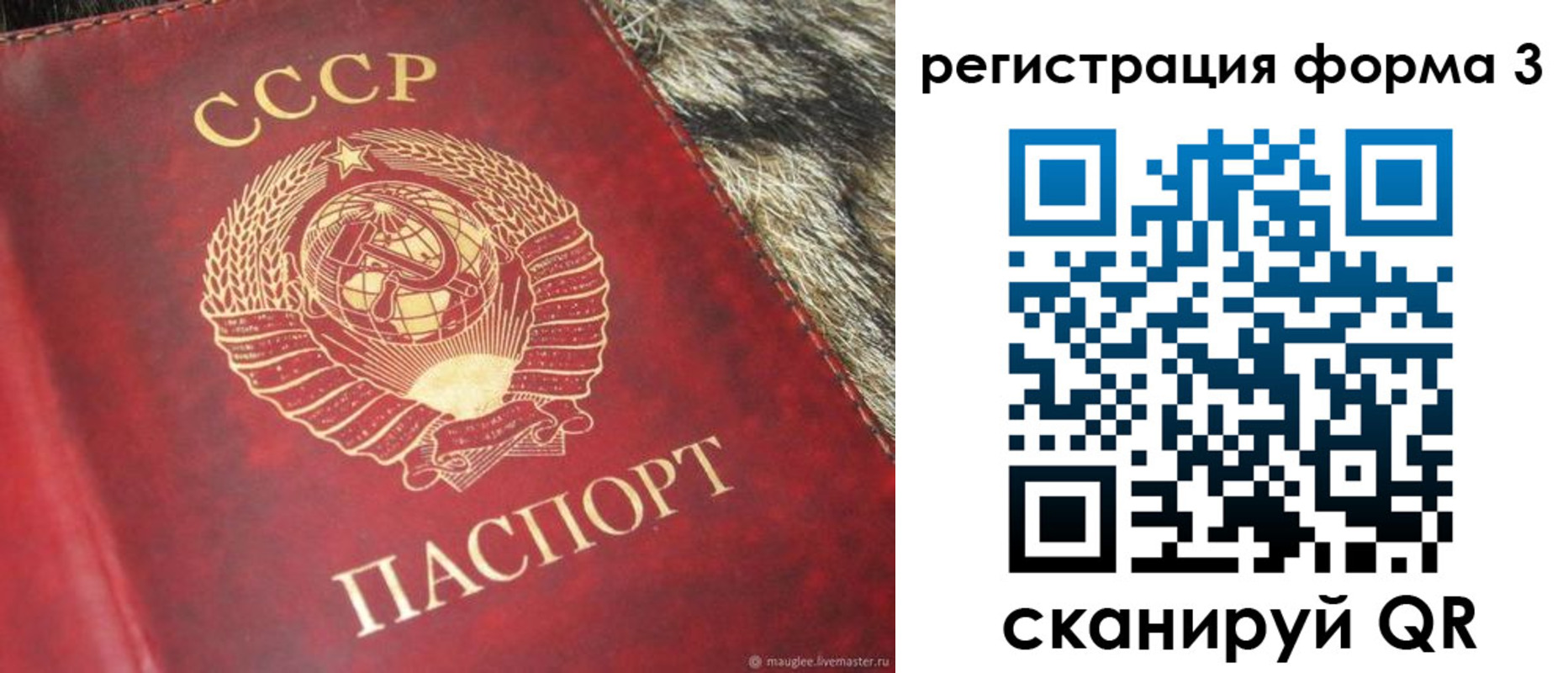 прописка регистрация в Ивантеевке